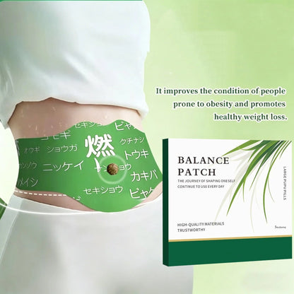 Japanese Balance Herbal Pain Relief Patch | Targeted Comfort & Support (5 pieces)